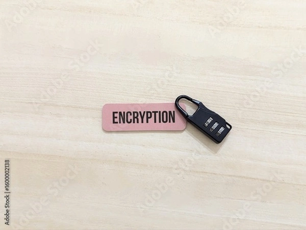 Fototapeta Encryption Concept Secure Data Protection. business finance , technology