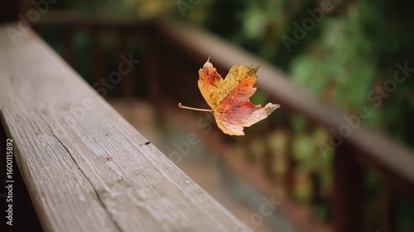 Obraz Autumn leaf on a wooden deck