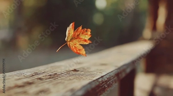 Obraz Autumn leaf in gentle motion