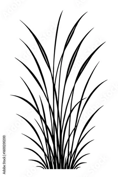 Fototapeta Simple Tall Grass Bush - Natural Vegetation Element Vector