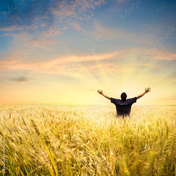 Obraz man in wheat field