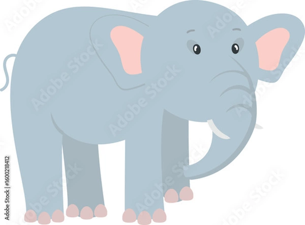 Obraz Baby elephant