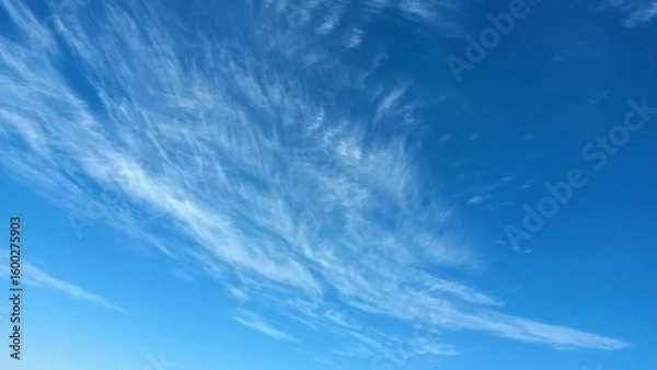 Obraz Fine Feathers Cirrus clouds