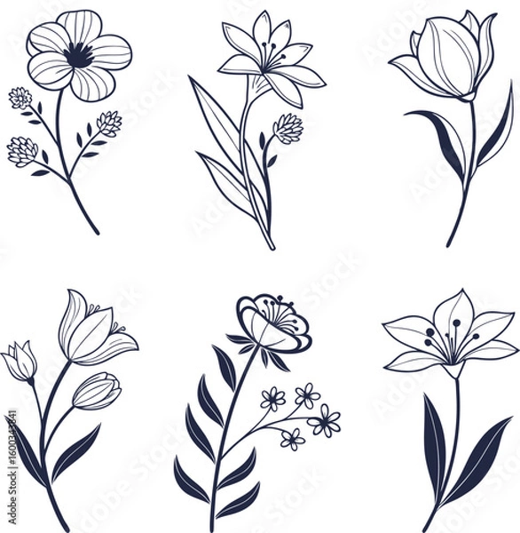 Fototapeta Beautiful drawing set of flowers, Minimal botanical elements vector illustration, Black plant and floral lineart isolated on a white background