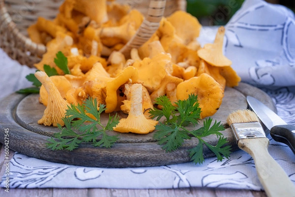 Obraz Frisch gepflückte Eierschwammerl