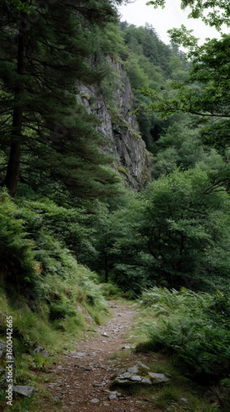 Fototapeta Forest path leads through lush greenery towards distant waterfall