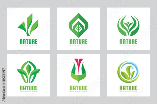 Fototapeta Nature green leaves plant - vector business logo set concept illustration. Sign collection. Graphic design element.	