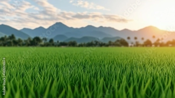 Fototapeta Views of Southeast Asian Rice Fields Concept. Lush Green Rice Field Under Sunset with Mountains in the Background