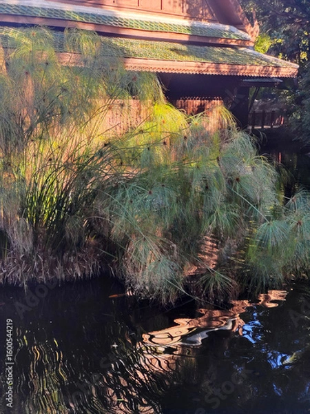 Fototapeta Tropical garden