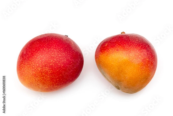 Fototapeta Ripe Kent Mango's isolated on a white studio background.