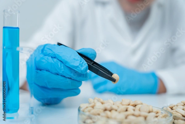 Fototapeta Scientist check chemical whole grains residues in laboratory. Control experts inspect the concentration of chemical residues. hazards, standard, prohibited substances, contaminate, Microbiologist