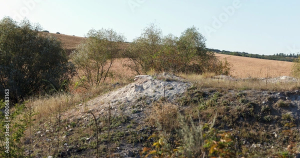 Fototapeta A dry landscape with a small hill covered in white ash. Surrounding vegetation includes sparse trees and dry grass