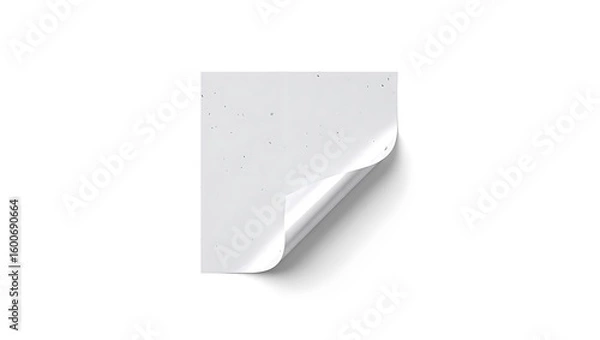 Fototapeta A slightly speckled white square paper with a curled corner set against a white background plain