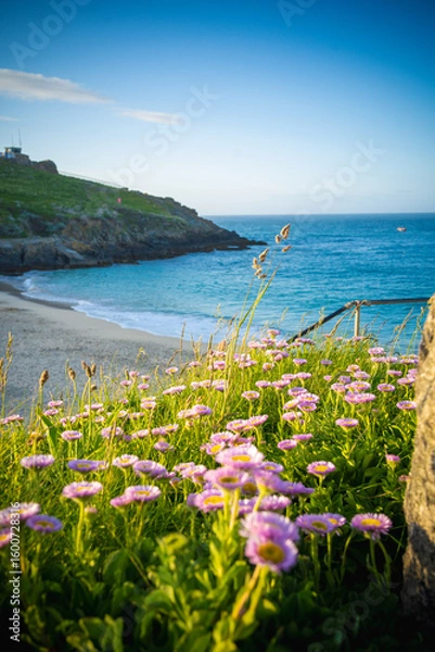 Obraz Cornwall England sea cliffs