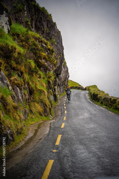 Obraz Killarney national park and Dingle mountain