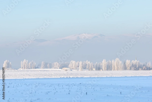 Fototapeta Frozen trees and foggy mountain background