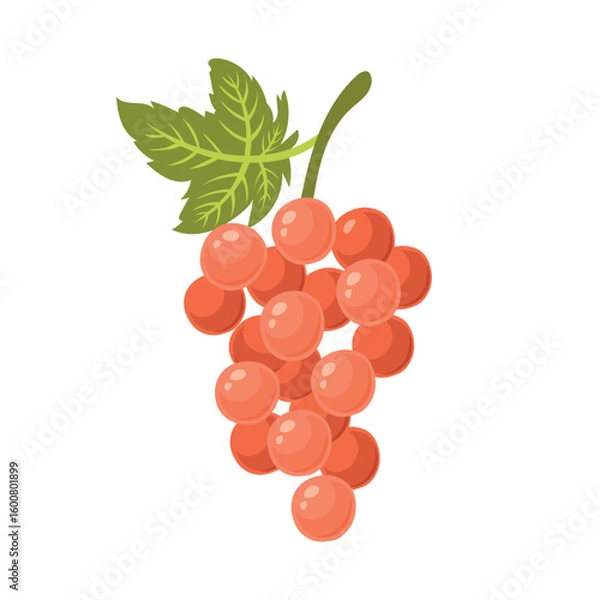 Fototapeta grapes. Vector cute illustration of fruits in flat style on white background