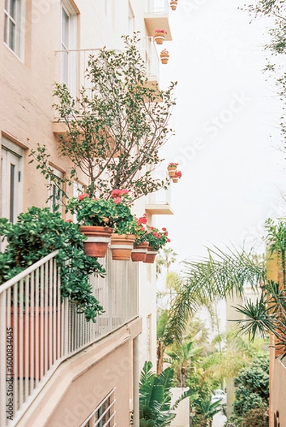 Obraz San Diego La Jolla California