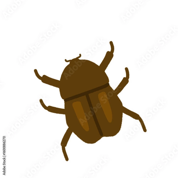 Obraz カブトムシ（メス）のイラスト
