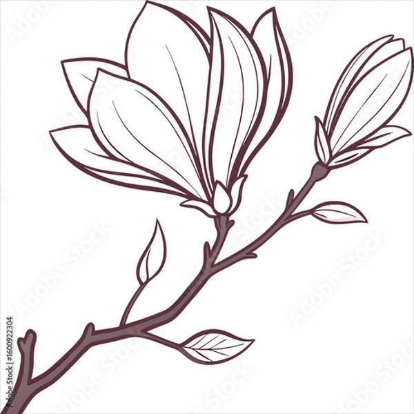 Fototapeta tree with flowers