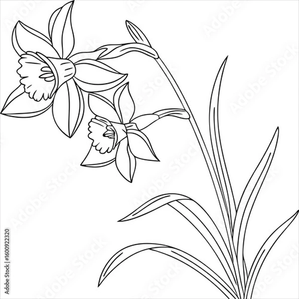 Fototapeta lily of the valley isolated on white