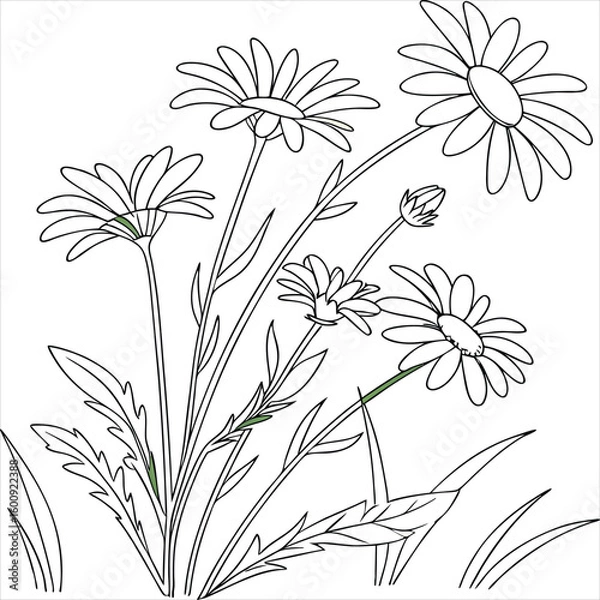 Obraz floral background with flowers