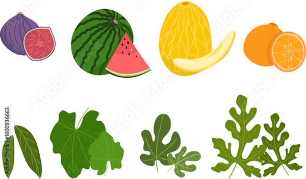 Fototapeta Vector fruits and leaves. Play for children. Melon, watermelon, fig and orange and different types of leaves. Vector illustration.