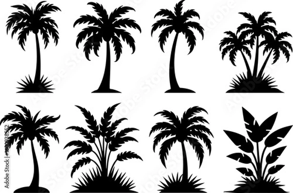 Fototapeta Desert & Tropical Plant Silhouette Set – Cactus, Palm Tree, and Succulent Icons vector bundle