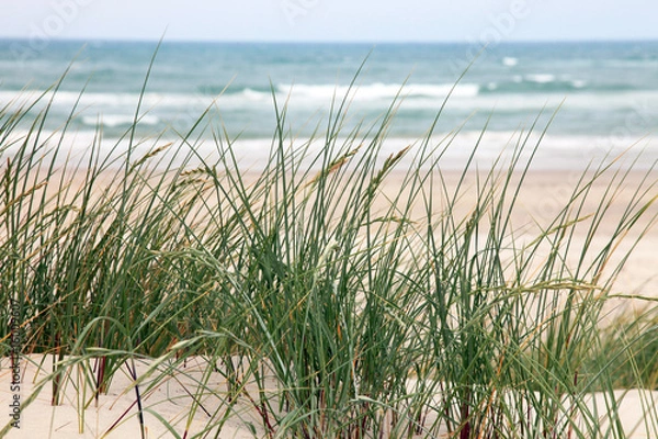 Fototapeta Strand in Norddänemark