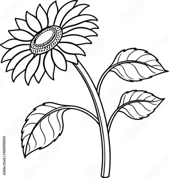 Obraz Simple black and white line art illustration of a sunflower.