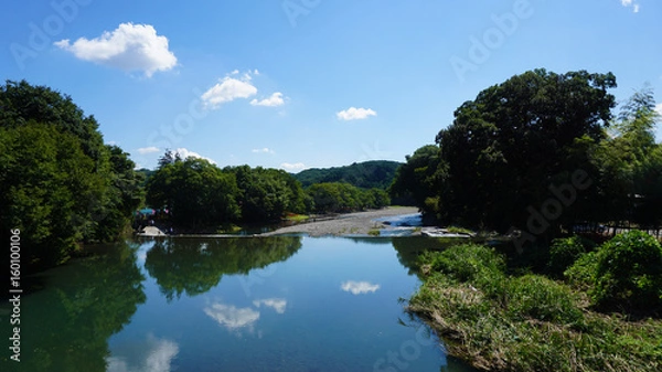 Obraz 川辺・水辺