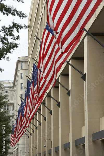 Fototapeta fbi with flags