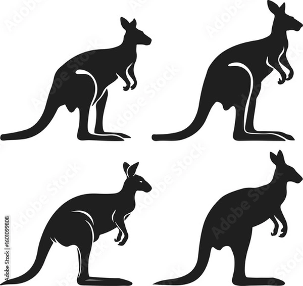 Fototapeta kangaroo vector illustration