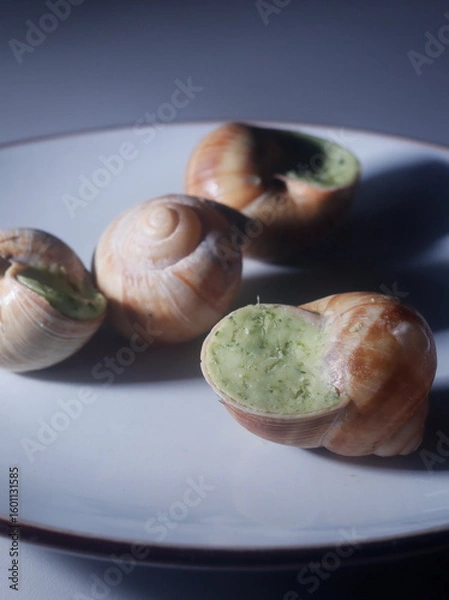 Obraz snail on a plate