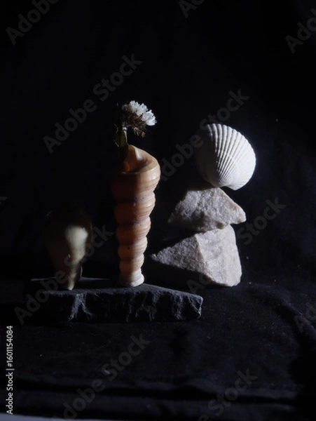 Obraz shell on the stone