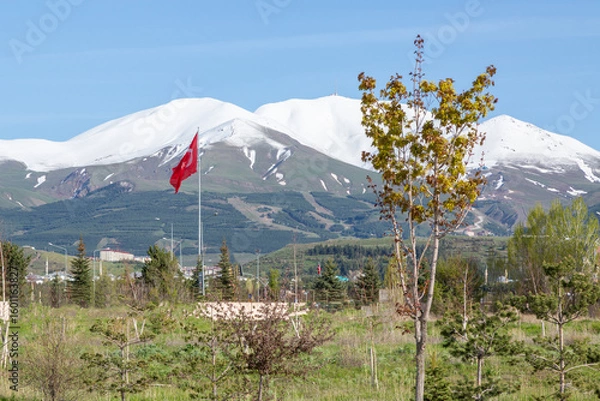 Fototapeta Turkish flag in Erzurum with palandoken mountains background