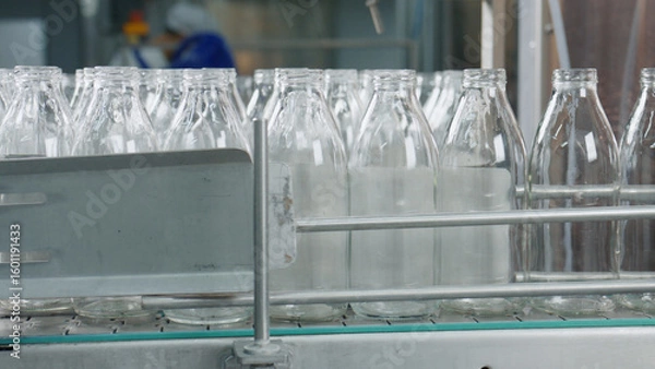 Fototapeta Empty glass bottles moving on conveyor belt in