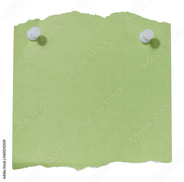 Fototapeta A sheet of green paper with jagged edges attached with two white pushpins on an isolated background