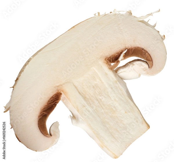Fototapeta Slice of raw white champignon on isolated background