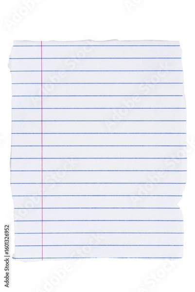 Fototapeta Lined loose leaf notebook paper ripped rectangle isolated on white