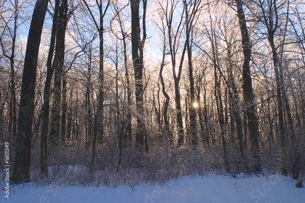 Fototapeta icy sunrise