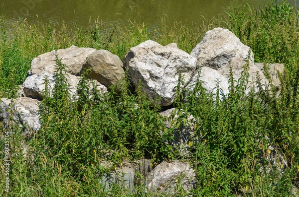 Fototapeta Eine Reihe Steine auf einer Wiese