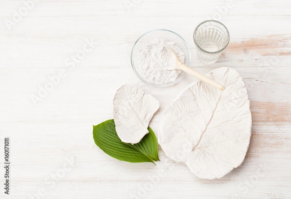 Obraz Plaster figures from floristic elements and leaves