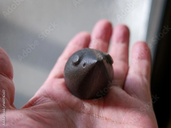 Obraz 手に乗せた古いネズミ型の文鎮