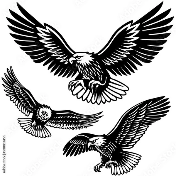 Fototapeta Three stylized eagles in flight vector design