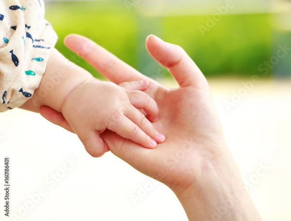 Fototapeta 赤ちゃんとお母さんの手