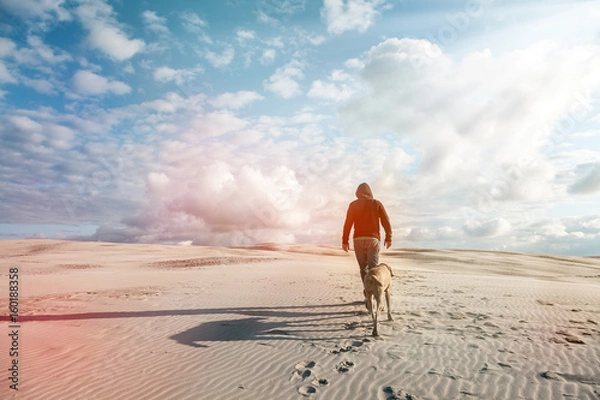 Fototapeta Mann mit Weimaraner Jagdhund auf Wanderung über eine Sanddüne