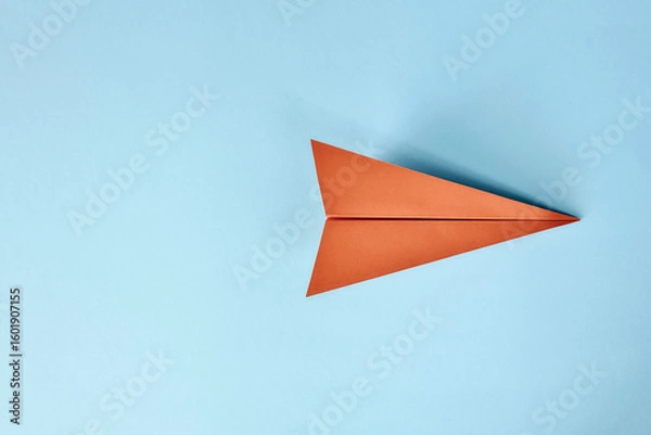 Obraz Paper Plane