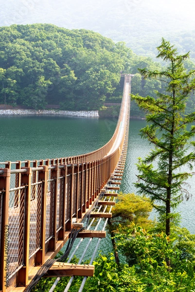 Obraz suspension bridge over the river