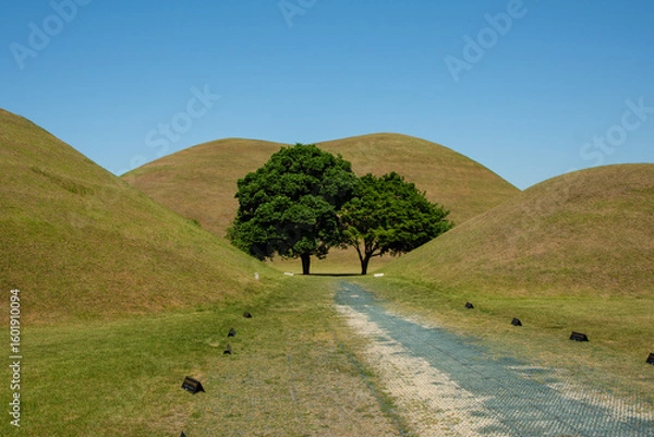 Obraz Tree between tomb hills